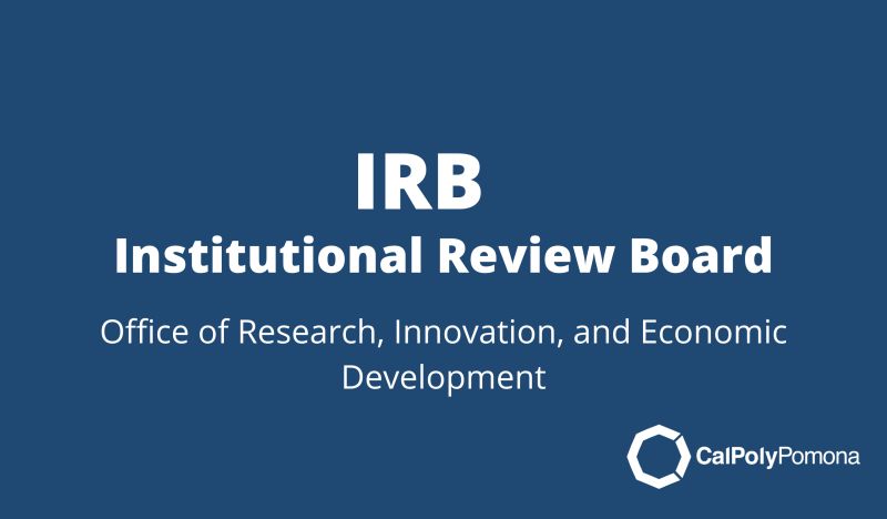 Irb - Colorful Illustrations - Beautiful 8K Collection