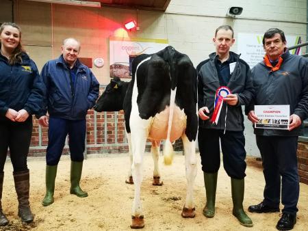 Champion Holstein Is Top Gisburn Mart Price Craven Herald