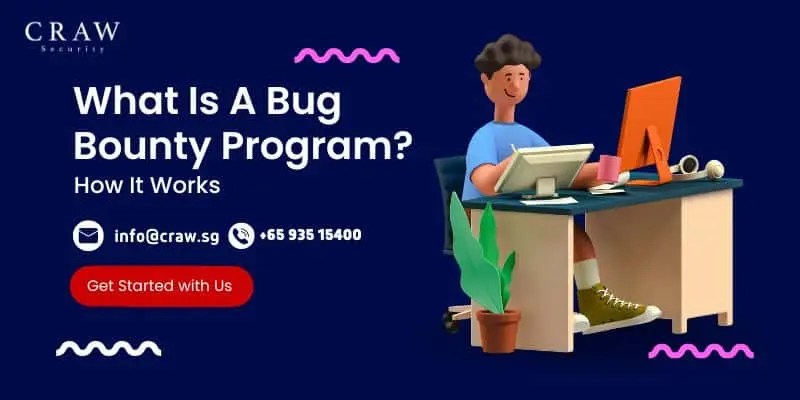 What is a Bug Bounty Program? How It Works [2025]