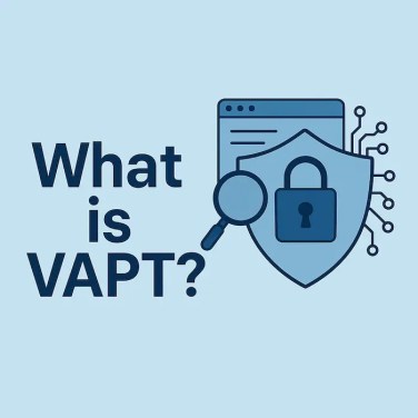 information of What is VAPT?