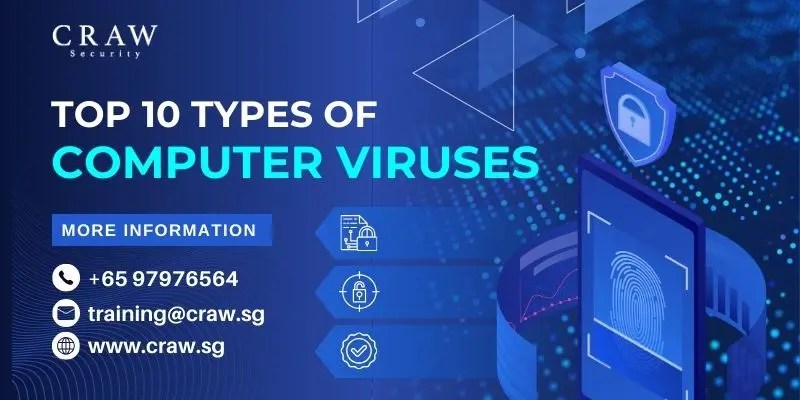 Top 10 Types of Computer Viruses In 2025 You Must Know