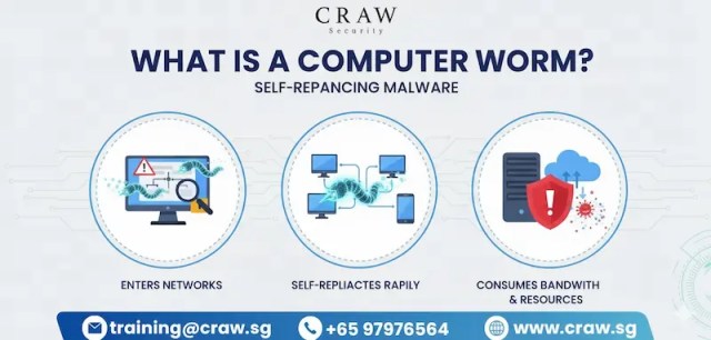 Details of What is a Computer Worm?