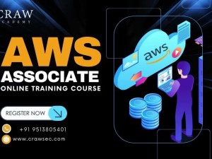 Online AWS Associate Course in Delhi