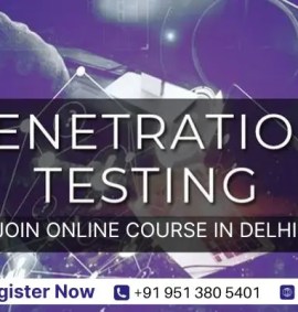 Online Best Penetration Testing Course in Delhi