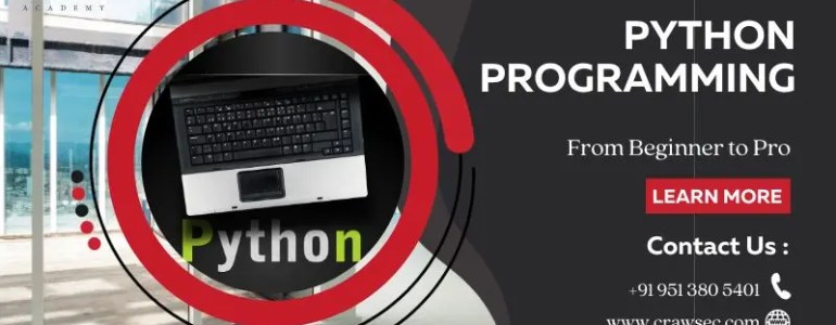 Navigating the Python Programming