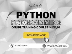 Online Python Course in Delhi with Certification