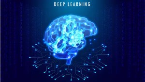 Learn Deep Learning