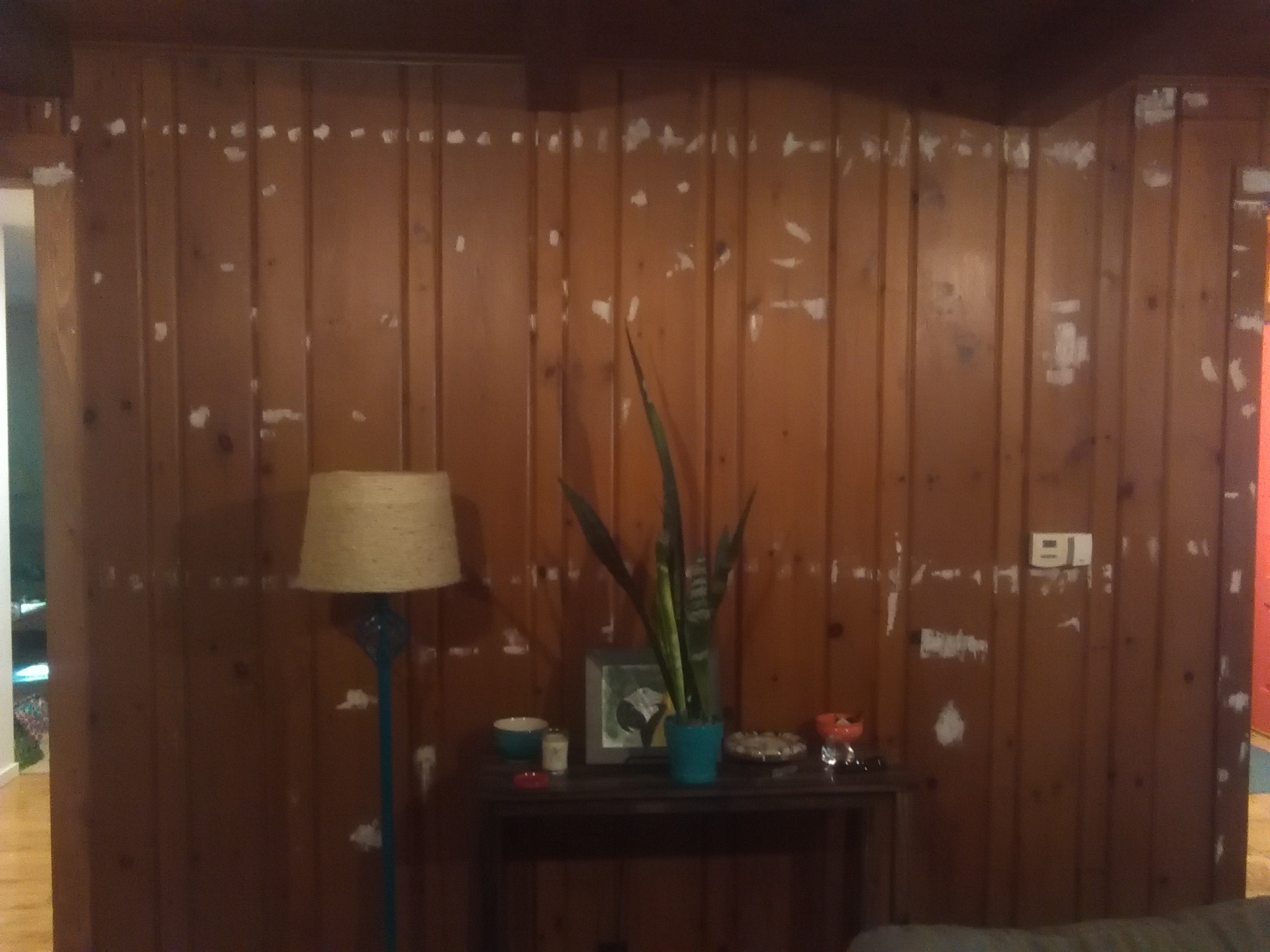 Diy painting wood paneling