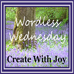 Wordless Wednesday at CWJ