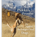 Pukkas Promise