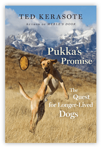 Pukkas Promise