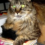 Legend - Guarding The Books