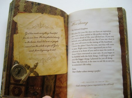 His Treasure - Interior