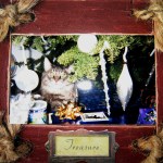 Adonis - Christmas