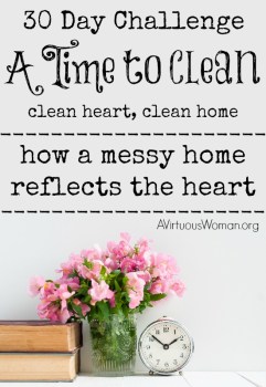 A Time To Clean - 30 Day Challenge