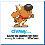 Chewy Blog Hop