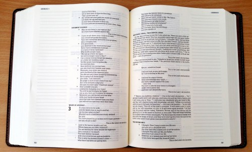 HCSB Notetaking Bible - Interior