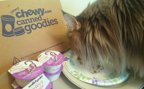 Dining-On-Chewy-Food-Create-With-Joy.com