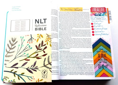 NLT-Reflections-Bible-Bullet-Journaling-Create-With-Joy