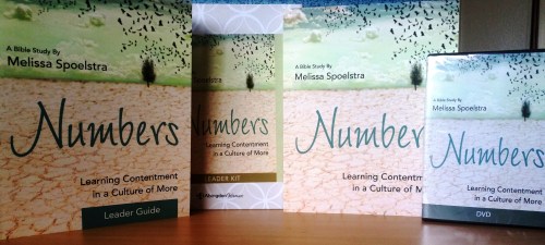 Numbers Bible Study Products