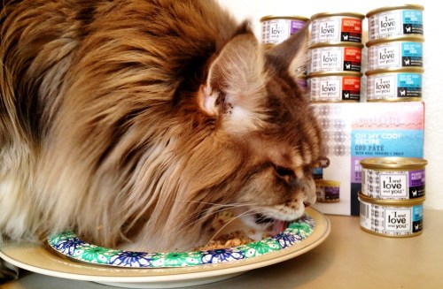 Tsunami-Love5-Create-With-Joy.com