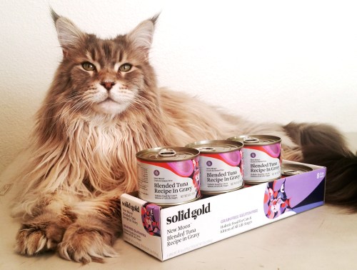 http://www.create-with-joy.com/2018/06/wordless-wednesday-five-oceans-canned-cat-food-is-solid-gold.html