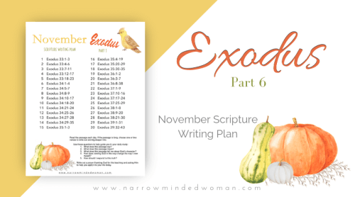 Exodus-Scripture-Writing