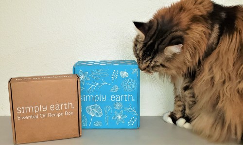 Simply-Earth-Magellan-Create-With-Joy.com
