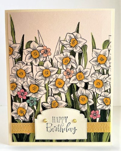 Daffodil Birthday Card