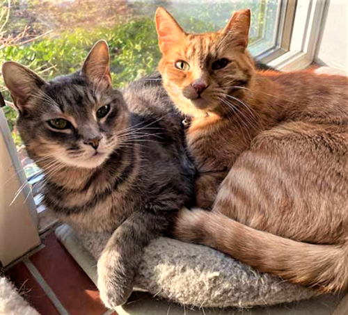 Rufus and Mickey