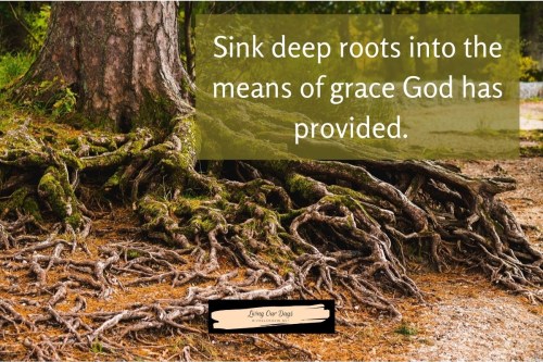 Spiritual Discplines