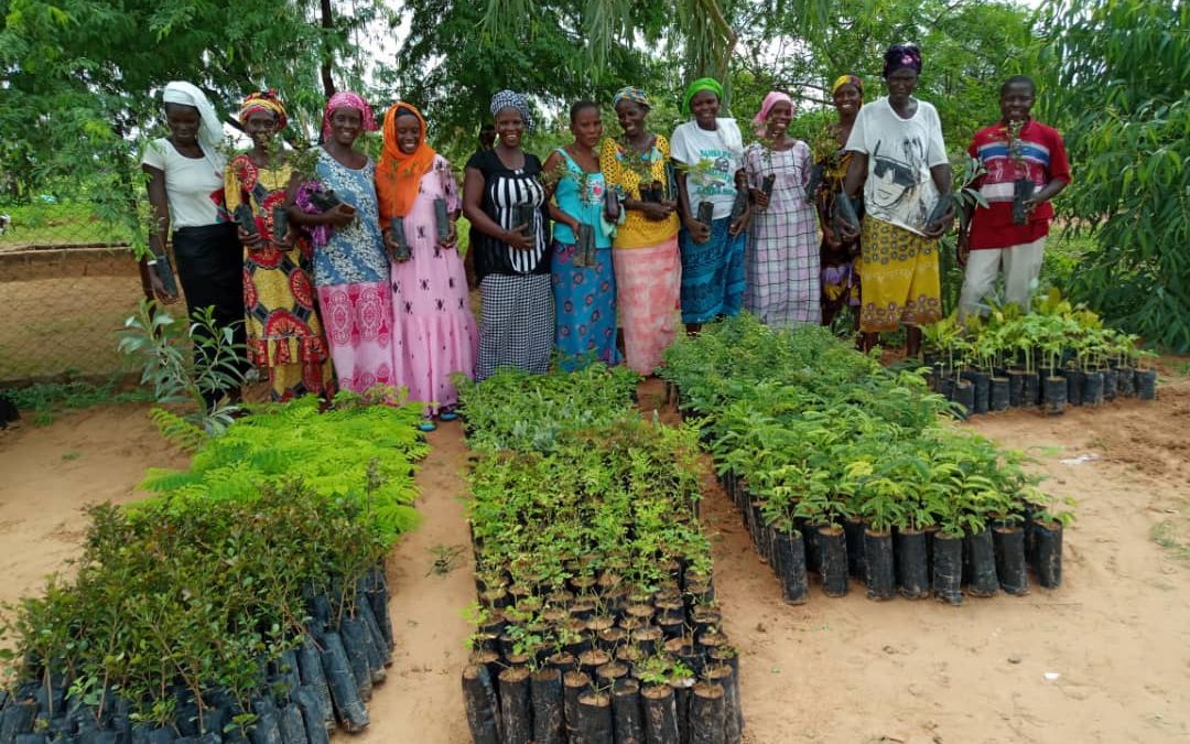 Trees For The Future On Twitter What Is A Forestgarden Forest Gardens Consist Of Thousands Of Trees That Help Heal The Local And Global Environment And Provide Families With Foodsecurity Nutrition Livestock
