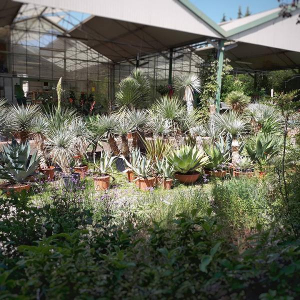 Horaires Maraicher Au Jardin De Provence 0475597935