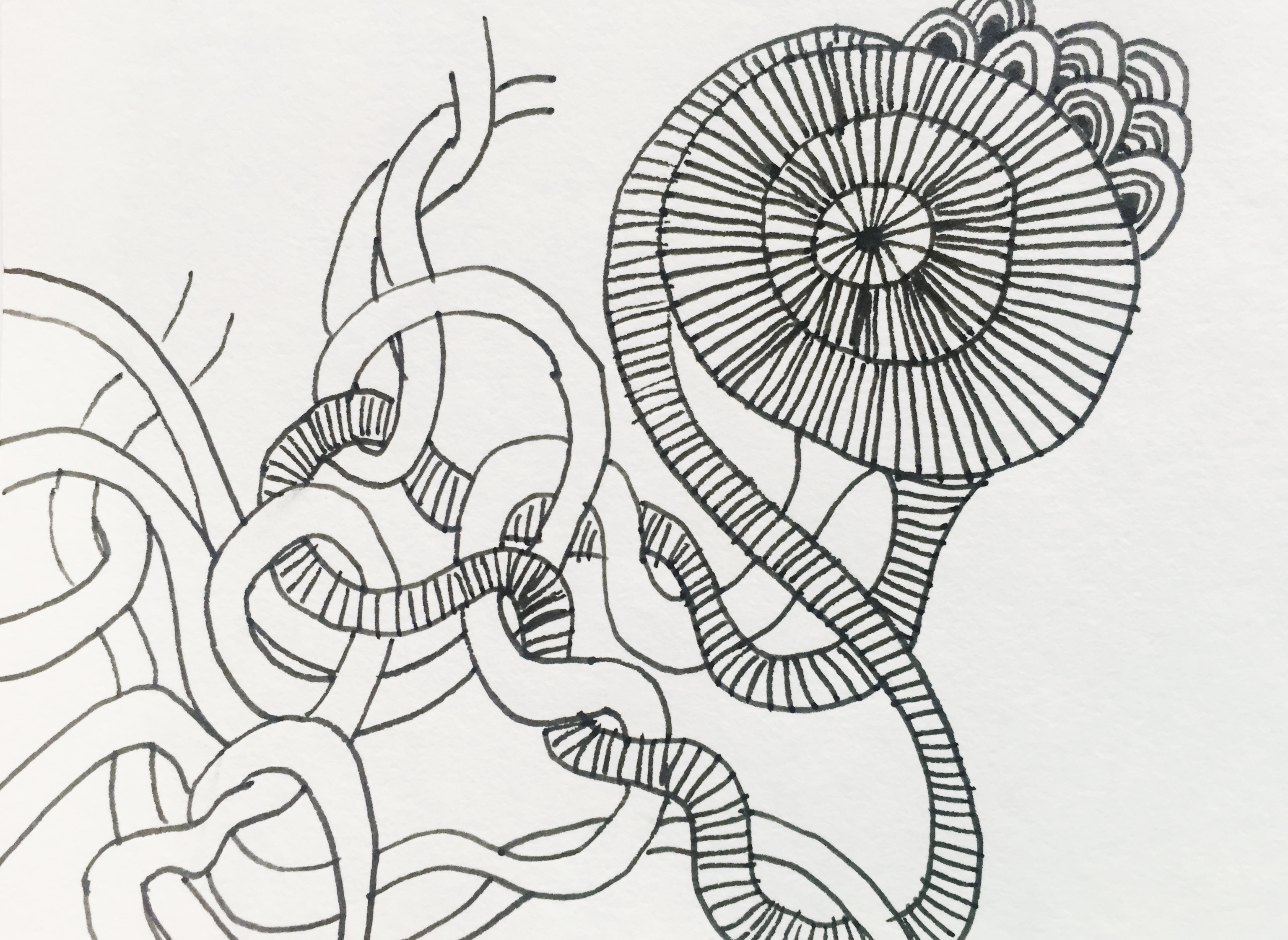 Hummer Zeichnen Lernen Schritt Fur Schritt Tutorial Zeichnen Leicht Gemacht