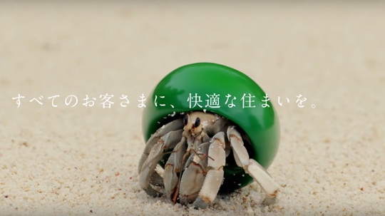 New shells for hermit crabs, Create a brand via new way !! – D-Cosystem