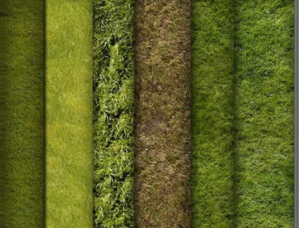 10 Grass Texture Pattern