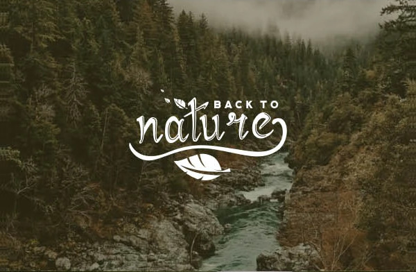 Vintage Script Font