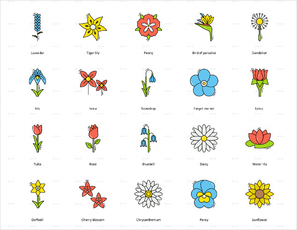 Set of Flower Vectors