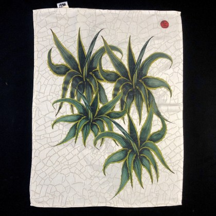 Agave "tea towel" 4