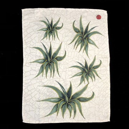 Agave "tea towel" 5