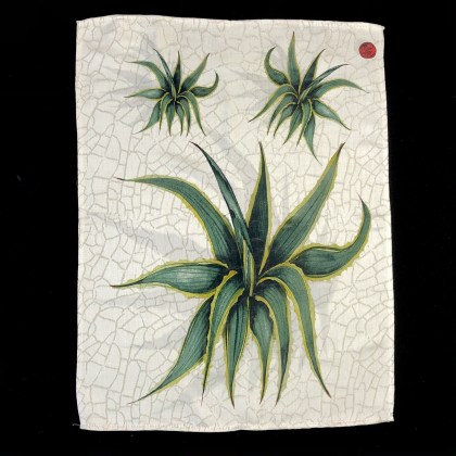 Agave "tea towel" 3