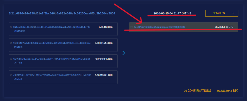 Données d'une transaction Bitcoin.