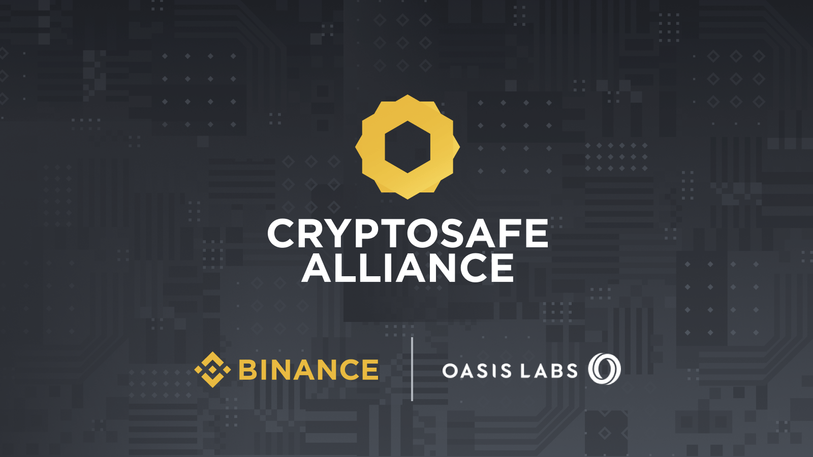 Cryptosafe Binance Forma La Alianza CryptoSafe Junto A Oasis Labs Para Analizar ...