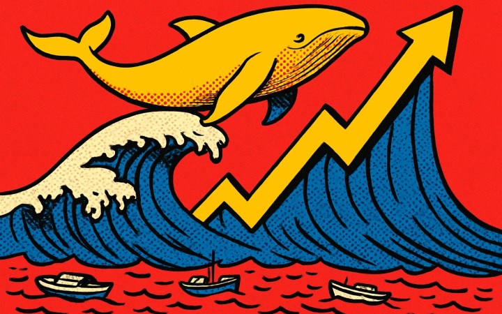 Ballenas de Zcash compran en máximos: por qué esa acumulación eleva el riesgo de corrección para ZEC