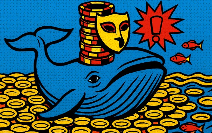 Ballena de Zcash compra Nullmask (MASK): la alta concentración del token enciende alertas