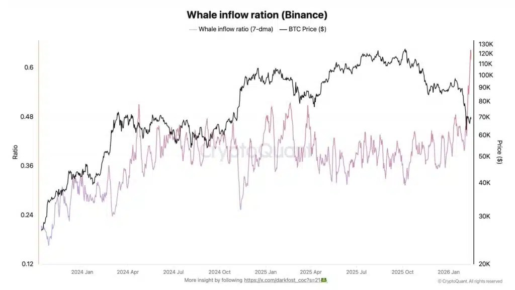 la vente au détail n'a pas d'importance, c'est LA FAUTE DE LA BALEINE la vente au détail n'a pas d'importance, c'est LA FAUTE DE LA BALEINE