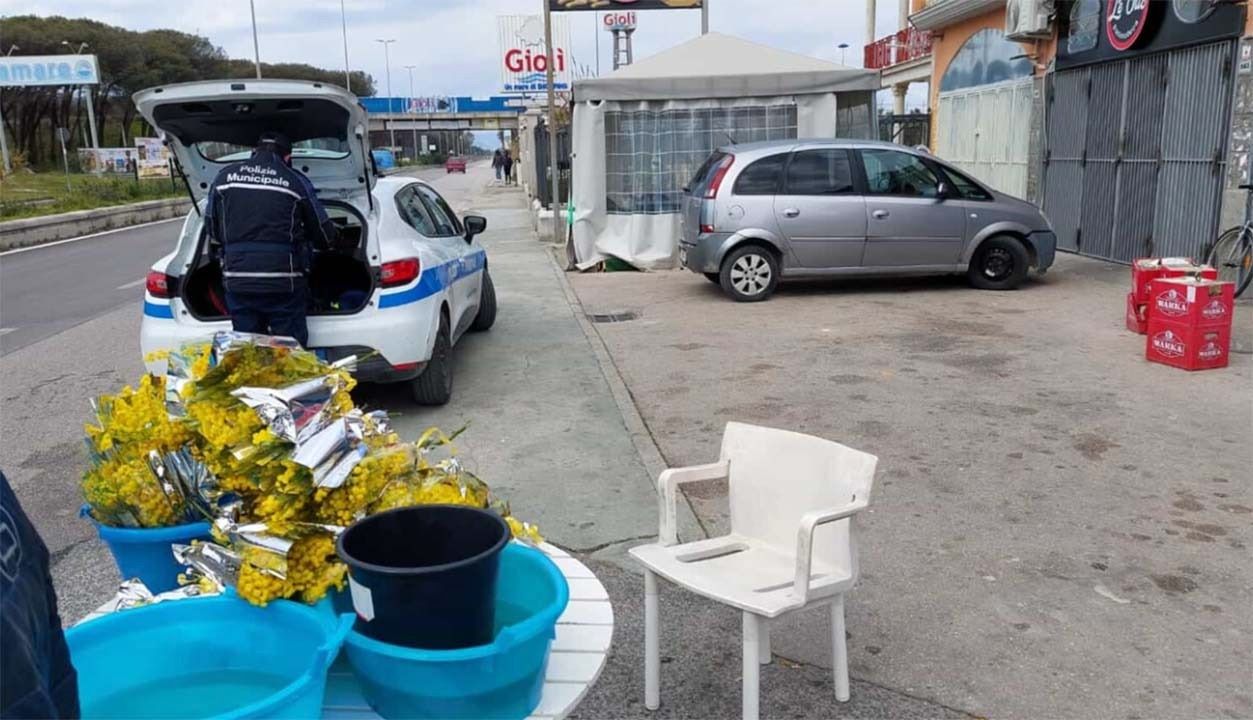 Sequestrati oltre mille fasci di mimose a Napoli in occasione della Festa della Donna: vendita irregolare. Sequestrati oltre mille fasci di mimose a Napoli in occasione della Festa della Donna: vendita irregolare.