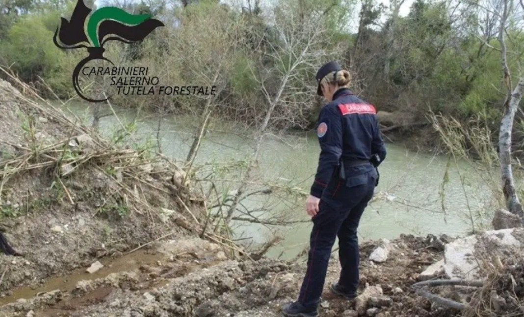 eboli azienda bufalina