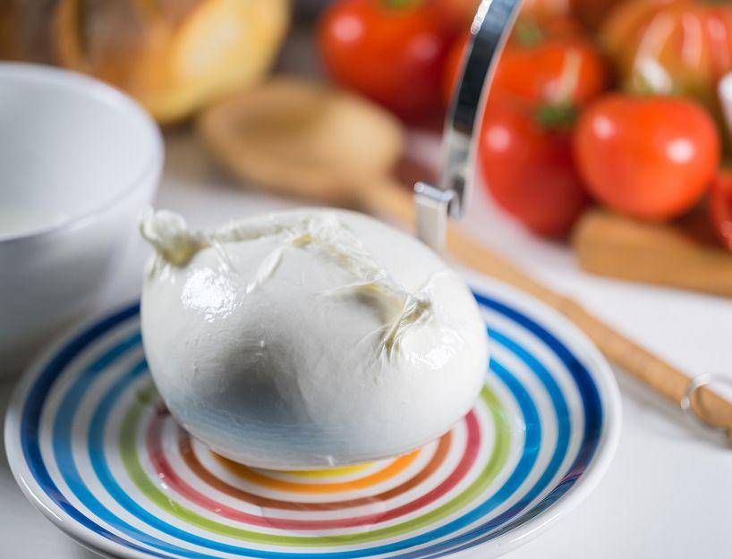 Mozzarella Dop: seminari Consorzio bufala campana Mozzarella Dop: seminari Consorzio bufala campana