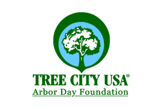 Council Offers New Tree City Usa Reward Grant New York State Urban Forestry Council